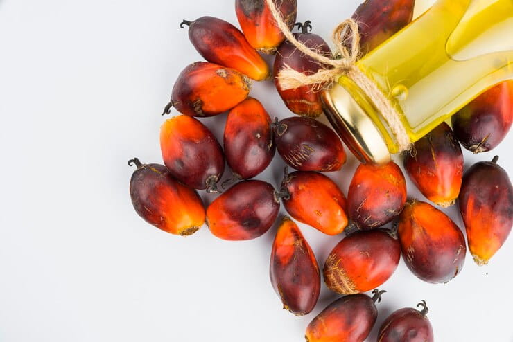 تصویر 4 از قیمت خرید روغن هسته پالم + فروش ویژه